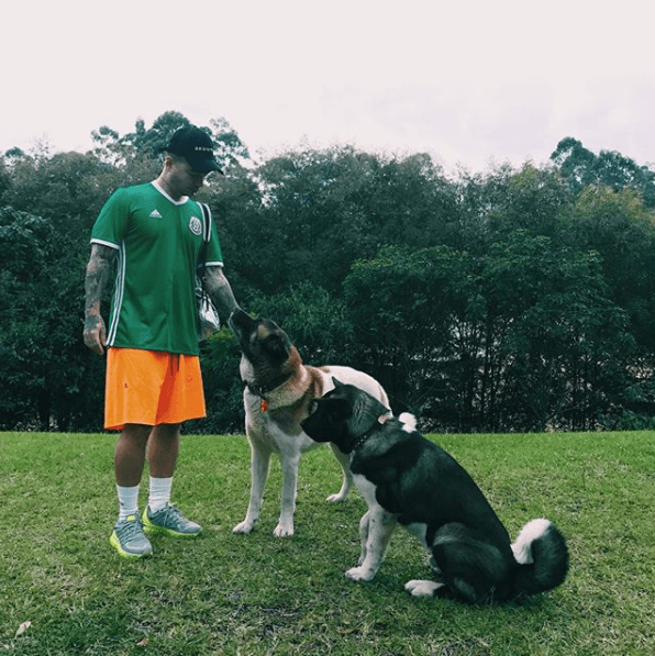 Un perro no solo sirve como consuelo y compañía, sino también puede ser una ayuda al momento de pasear o hacer ejercicio.