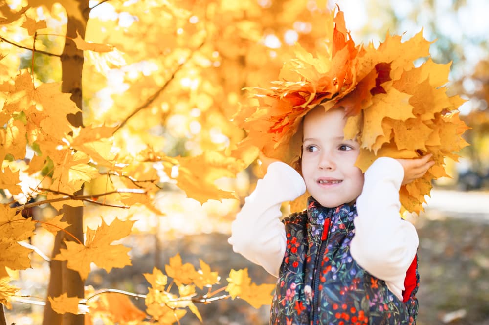 Los participantes a la fiesta del equinoccio usarán el color indicado para su elemento zodiacal y recibirán su lema, que es la energía concentrada para el resto del año. Es una forma diferente, y muy en armonía con el evento cósmico que está ocurriendo lo cual nos ayuda a reflexionar sobre lo que hemos hecho durante estos meses y lo que debemos hacer para esperar el próximo año.