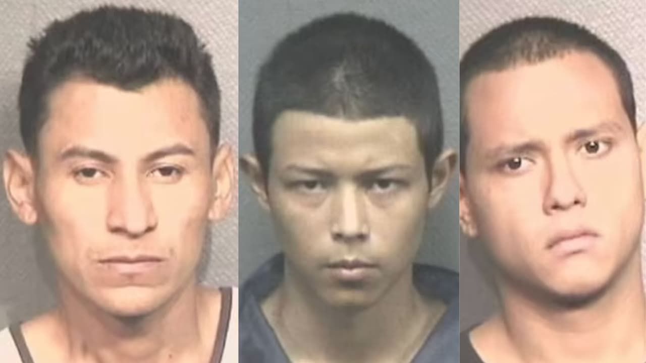 Ocho pandilleros de la MS-13 se declaran culpables por múltiples asesinatos con bates y machetes en Texas