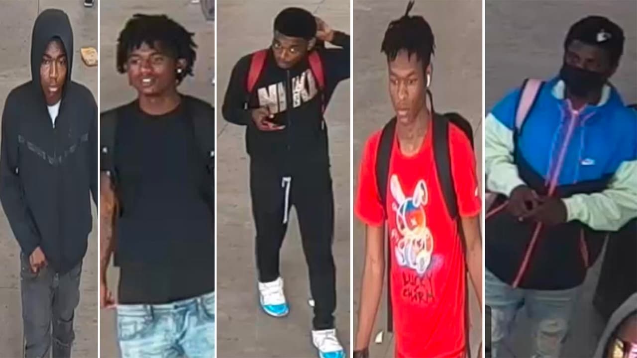 Los sujetos habrían asaltado con violencia a tres usuarios de la Línea Roja de CTA.