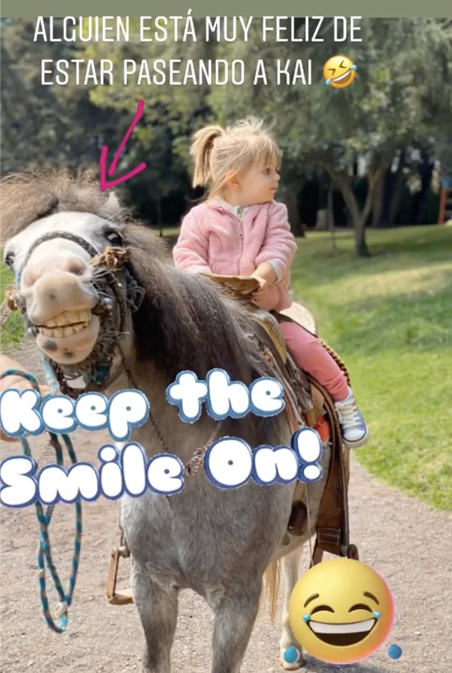 Aunque se dedicó a tomar videos y fotos, por lo que no fue vista, Aislinn Derbez cerró la carrerita con una dosis de humor, asegurando que 
<b><a href="https://www.univision.com/famosos/sean-de-verdad-o-de-mentiritas-kailani-ochmann-no-se-resiste-a-los-caballos-video">el caballo estaba riéndose</a></b>, contento, por haber paseado a su hija.