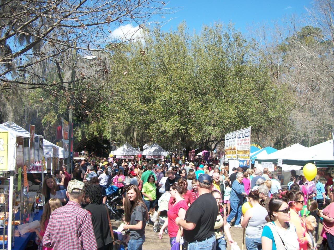 <b>Azalea Festival</b>
<br>
<b>Fechas</b>: 9 y 10 de marzo 
<br>
<b>Lugar</b>: Drexel Park. 1401 N Patterson St. Valdosta, GA
<br>
<b>Sitio web</b>: 
<a href="http://www.azaleafestival.com/">http://www.azaleafestival.com/</a> 
<br>
<br>El Festival Valdosta-Lowndes Azalea cuenta con una carrera de 5 km, demostraciones de aves rapaces, una zona de juegos infantiles y muchos colores de las azaleas.
