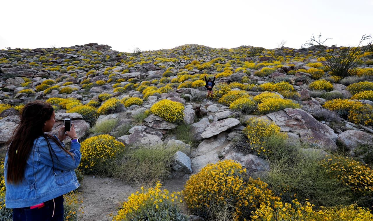 Camille Perkins, de Dana Point, le toma una foto a su mamá Cynthia Perkins, que brinca de la felicidad en el desierto florido, hace dos años. En 2017.