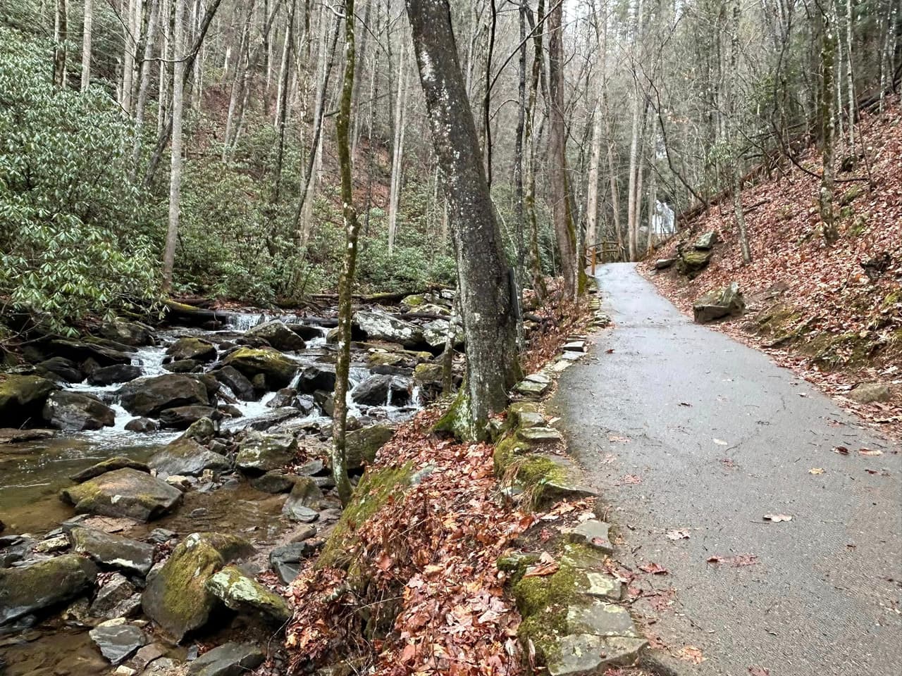 Es un excelente destino al aire libre en el norte de Georgia en cualquier época del año, pero en invierno podrás ver toda su majestuosidad.