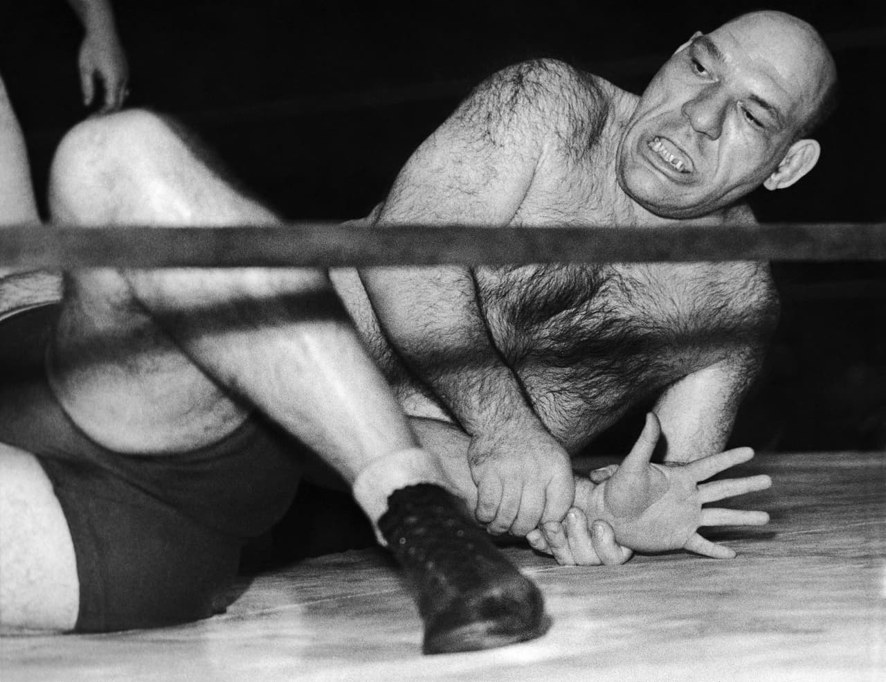 <b><a href="http://www.news.com.au/entertainment/movies/uncanny-resemblance-between-shrek-and-the-french-angel-maurice-tillet/news-story/842b5008fe9884d12fdcc0d204a5e579">De acuerdo a Ditigles</a></b>, un bloguero anónimo reportó que trabajó en el departamento de arte de Dreamworks mientras el personaje de Shrek estaba en desarrollo. "En mi pared, tenía fotos de personajes bichos raro de la lucha como 'El ángel suizo', 'el ángel irlandes' y 'el ángel francés'. Ellos pudieron ser la inspiración para los modelos de Shrek". 
<br>
<br>