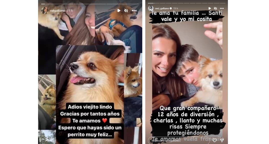 Valeria Fornaro y su mamá Cecilia Galliano se despiden de su mascota.