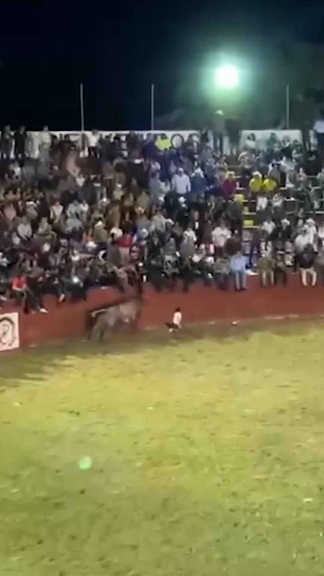Una niña cae al ruedo durante un evento de charrería