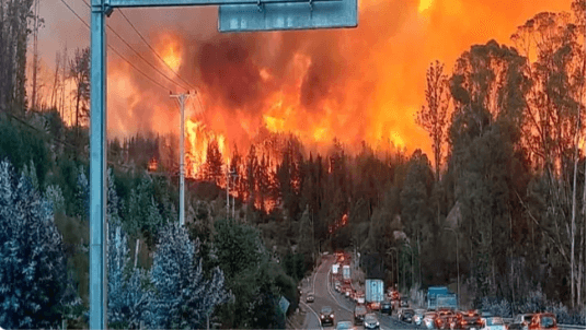 Chilenos en Carolina del Norte buscan ayuda para afectados de incendios en el país sudamericano  