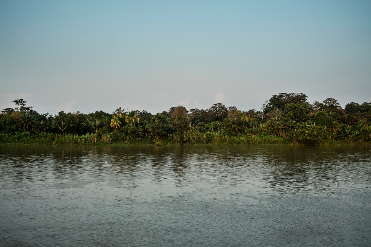 Las selvas de la región pacífica de Colombia, territorio del Frente de Guerra Occidental del ELN.
