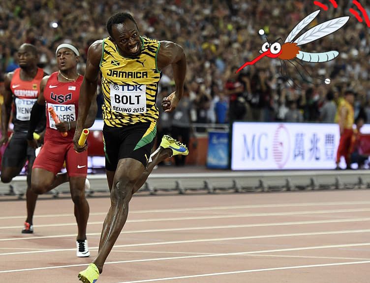 A Usain Bolt no le precupa el zika: "Soy más rápido que los mosquitos"