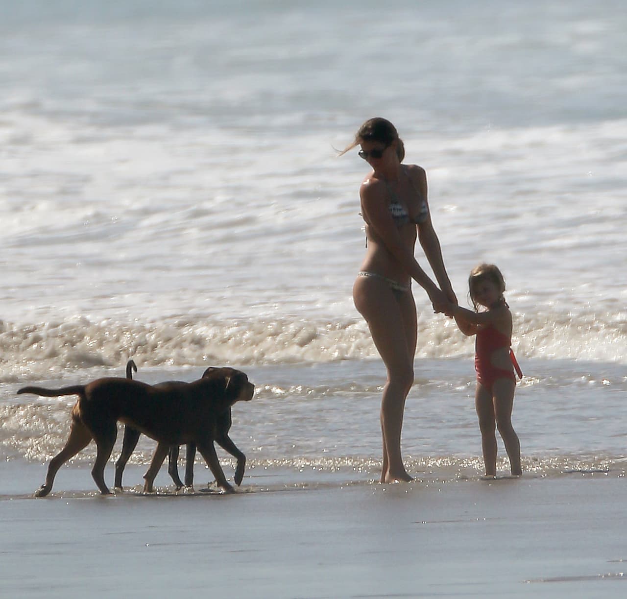 Como siempre, la familia llevó a sus mascotas.