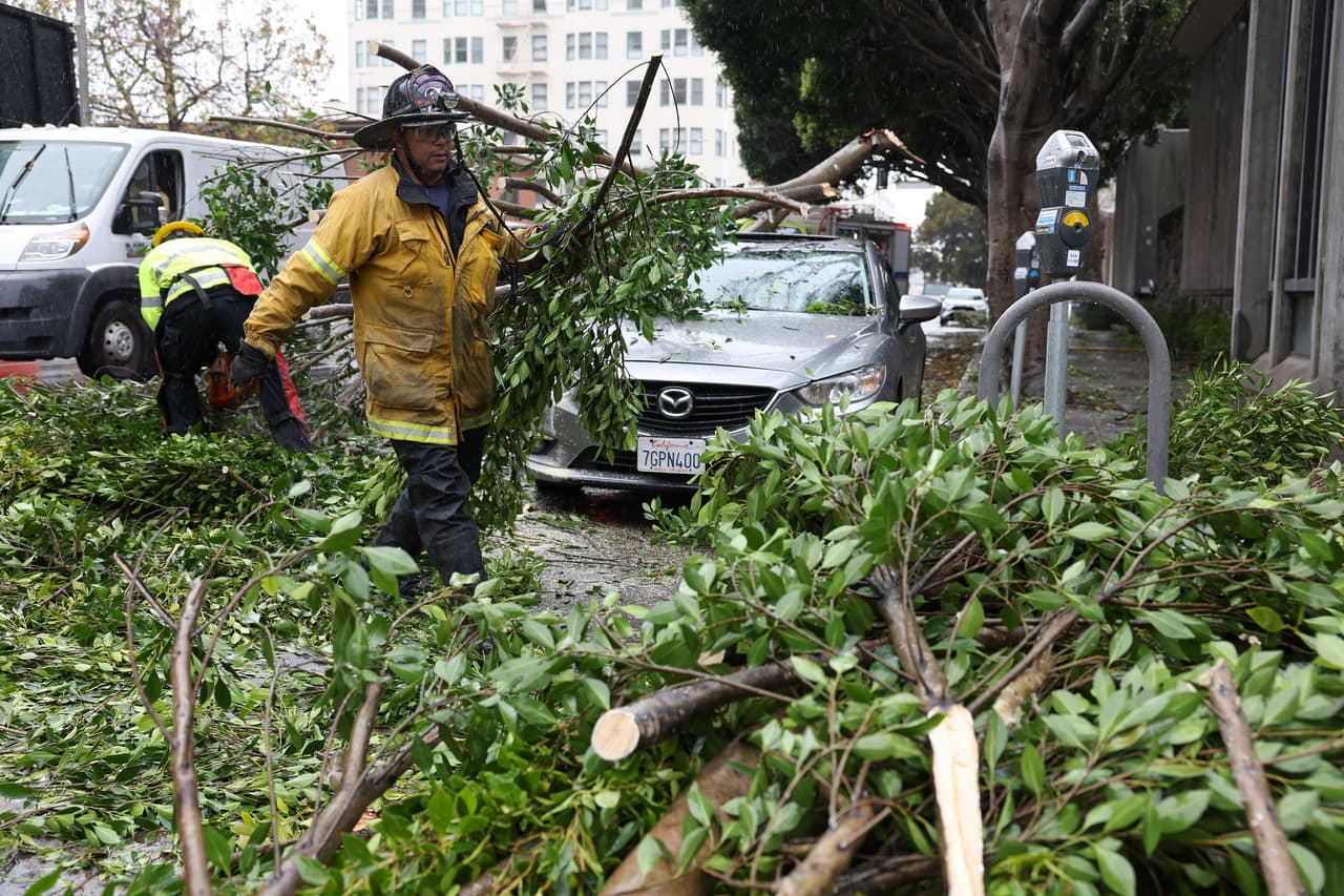 Mariano Elías, teniente del departamento de Bomberos de San Francisco, indicó que, si las raíces se fracturan o dañan la banqueta, se deben revisar con cuidado para asegurarse de que el árbol no se convierta en un riesgo para las viviendas o las personas que caminan o estacionan sus vehículos en la zona.
<br>
