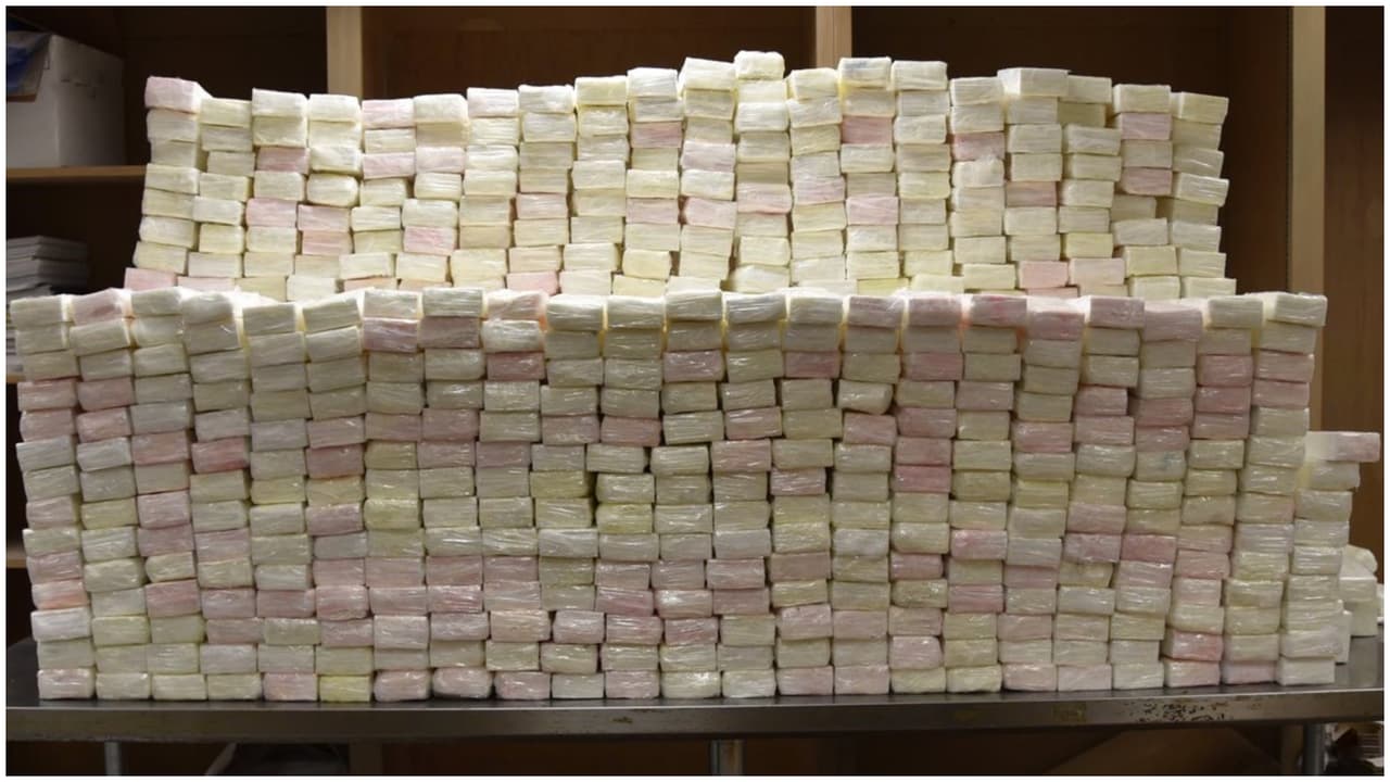 Camión que venía de México con toallitas de bebés, en realidad traía $11.8 millones en cocaína