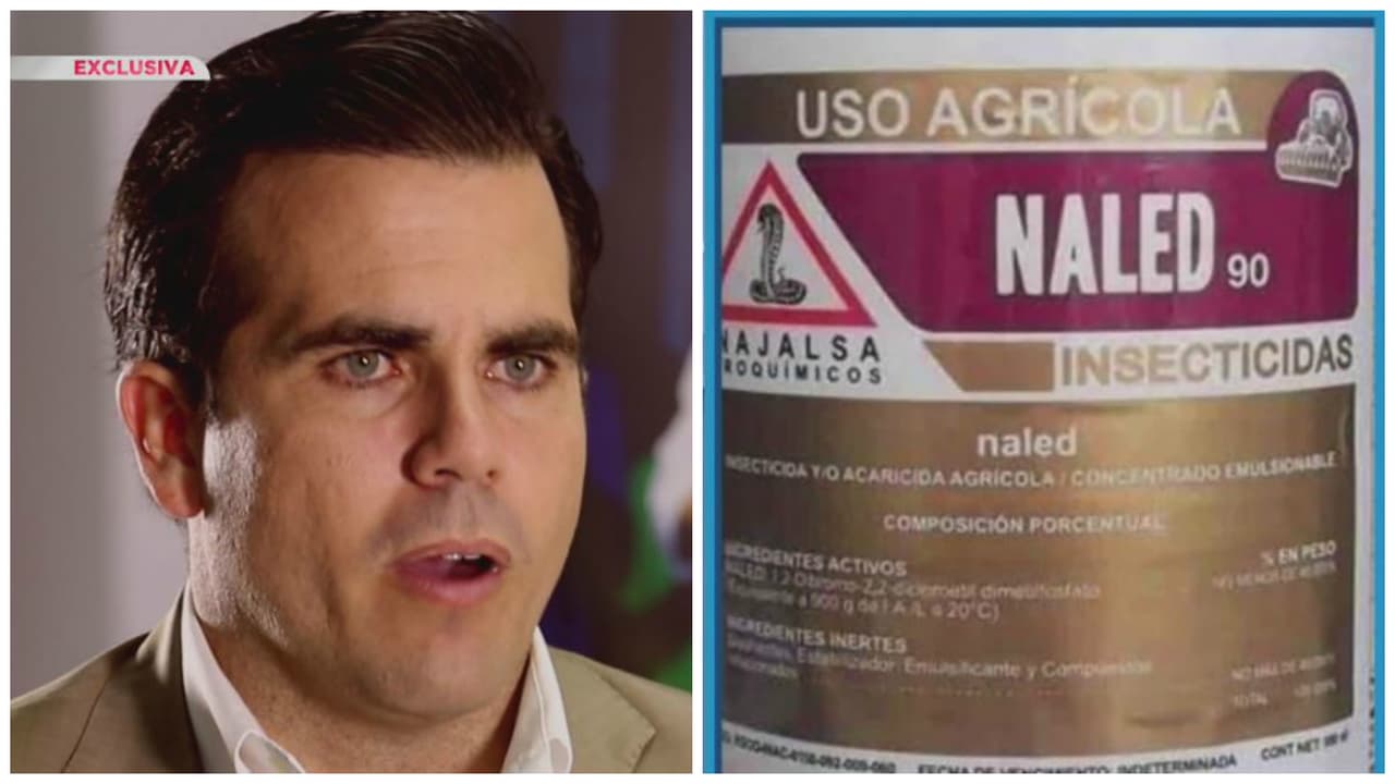 Fumigar con Naled es una iniciativa irresponsable, dice Ricardo Rosselló