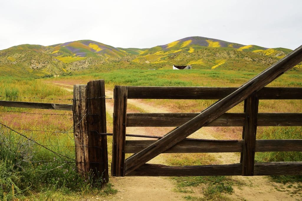 Las mascotas son bienvenidas, pero deben permanecer en la cuerda y bajo control.