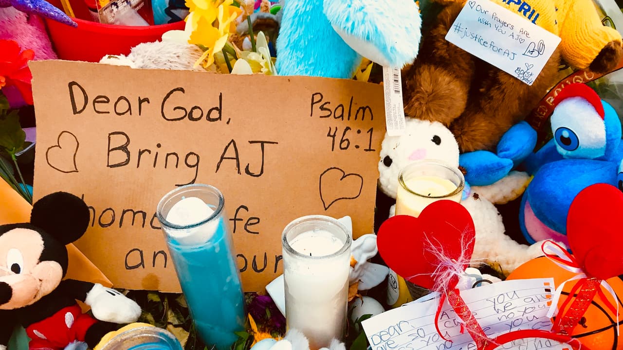 El viernes 19 de abril se reveló que los padres de los dos menores habían enfrentado 
<a href="https://www.univision.com/local/chicago-wgbo/familia-del-nino-desaparecido-fue-investigada-por-negligencia-durante-5-anos">acusaciones y una investigación que duró años, por negligencia que no terminó en acusación por falta de pruebas.</a>