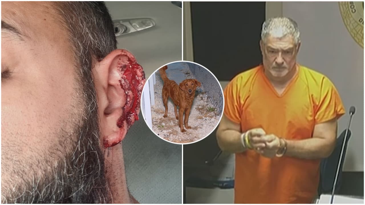 Hombre es acusado de atacar a machetazos a su vecino en Tamiami: la pelea fue por un perro