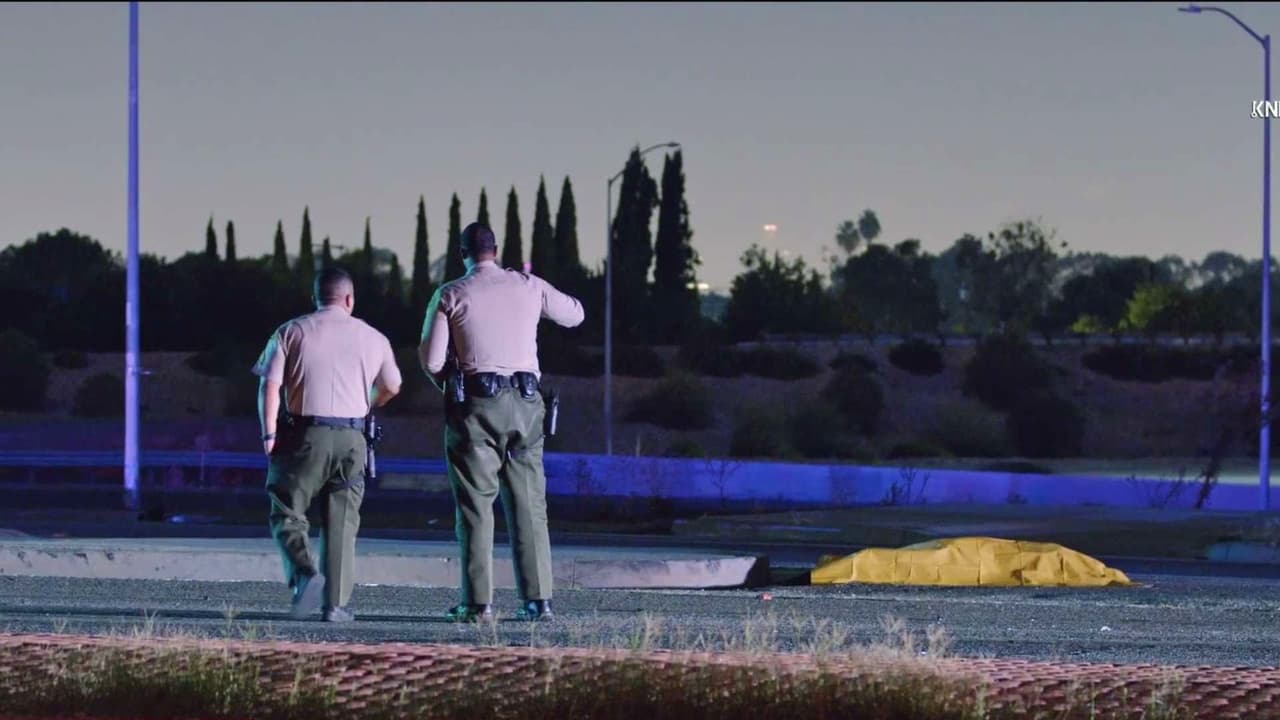 Hallan a hombre muerto en la autopista 710: aparente atropello y fuga