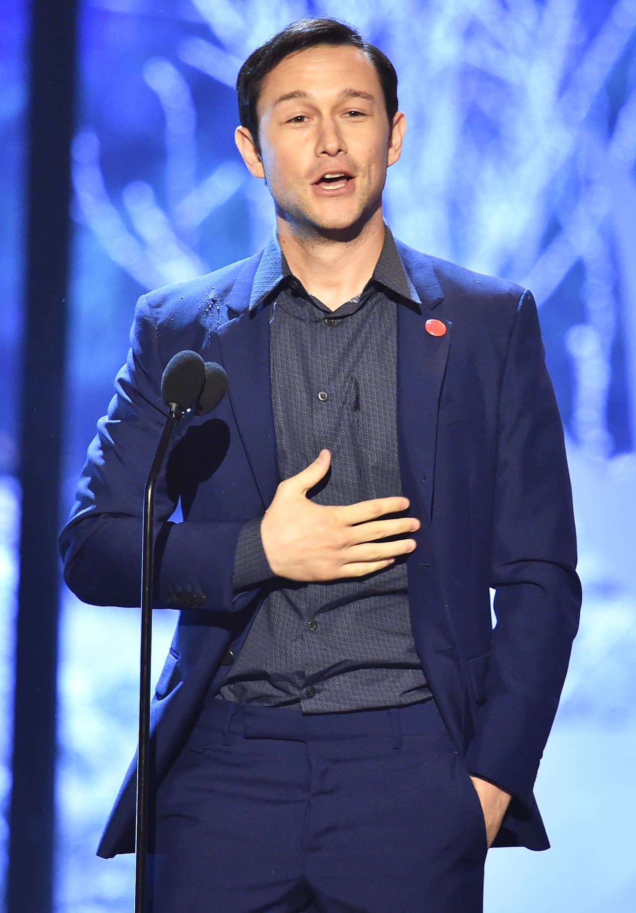 En la misma película participó Joseph-Gordon Levitt. Él era Cameron, un joven atento que daba lecciones de regularización de francés y que quería conquistar el corazón de la hermana de Kat.