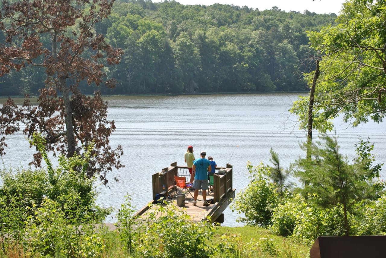 <b>Badin Lake </b>
<br>
<b>Sitio web</b>: 
<a href="https://www.fs.usda.gov/recarea/nfsnc/recarea/?recid=49086">https://www.fs.usda.gov/recarea/nfsnc/recarea/?recid=49086</a> 
<br>
<b><a href="https://goo.gl/maps/UA5z1ehZQYDf7xUQ7">Cómo llegar</a> </b>
<br>
<br>Badin Lake ofrece una variedad de tipos de peces para hacer felices a sus pescadores con su captura del día, que incluye lubina blanca, bagre, tipo de pez, lobina negra, lobina negra y lubina rayada.