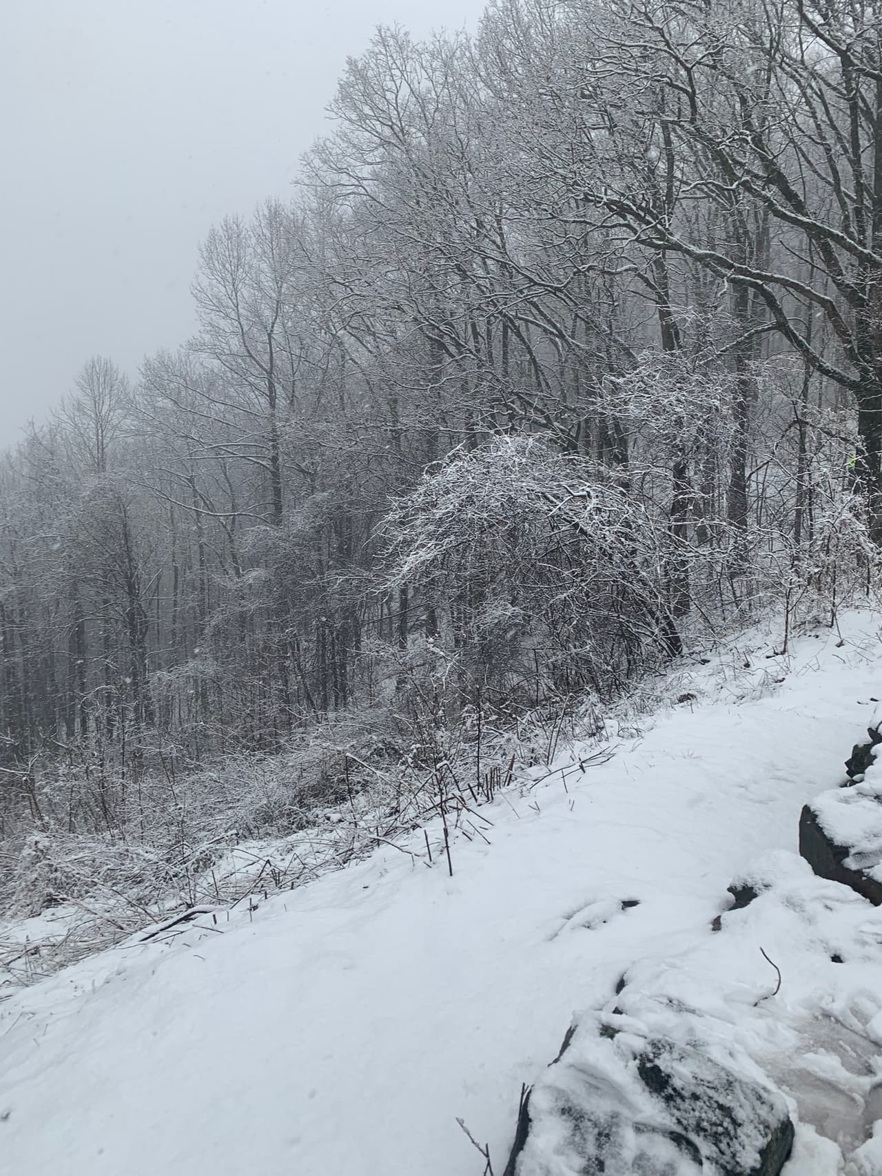 El parque se encuentra cerca de Suches, unas 80 millas al norte de Atlanta.