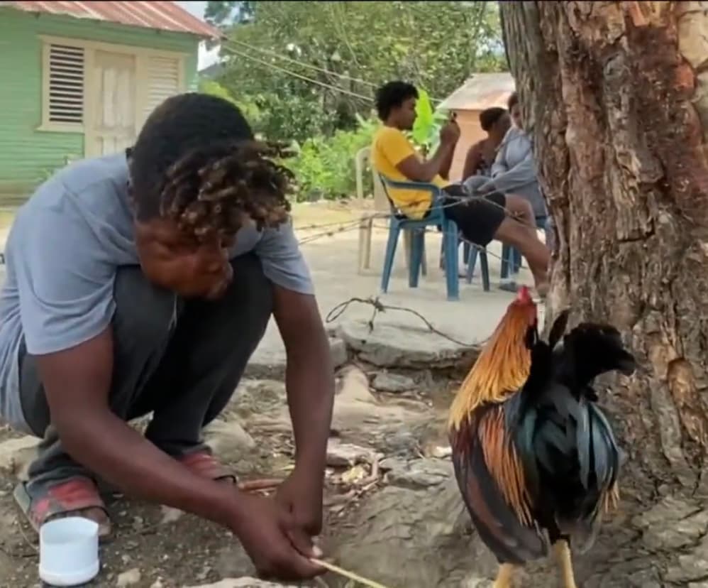 “Ha sido difícil, pero me he ido acostumbrado”, dice Freddy en medio del campo, donde pasa sus días, con un tono forzado por la masa que le hace colgar el lado derecho de su rostro y que, cuando se inflama,
<b>le deja dificultades severas para respirar. </b>
<br>