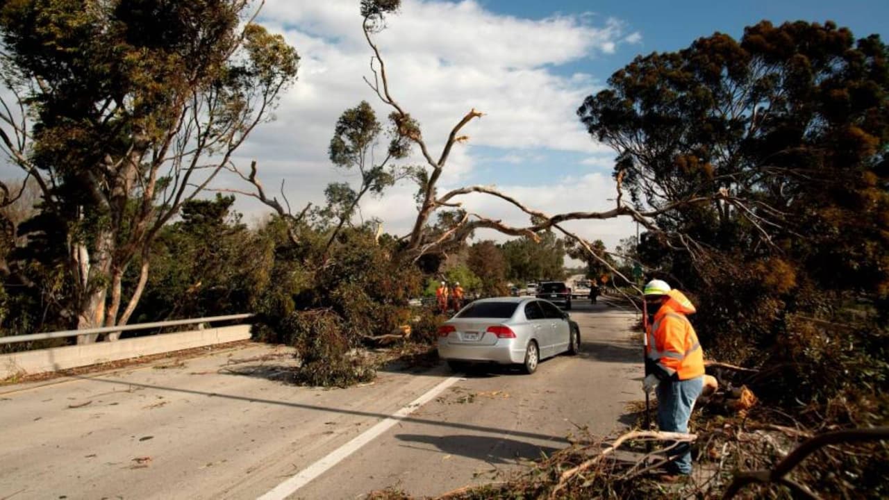 <b>Prepárate para el viento</b>. Asegura artículos de jardín que puedan volar con el viento. Además, deberás estar atento a las ramas de los árboles. Si sufres por 
<a href="https://www.univision.com/local/sacramento-kuvs/reportar-caida-arboles-ciudad-de-sacramento">árboles caídos</a> o ramas en la carretera puedes conectarte con el condado o 
<b>llamar al 311 </b>(o al 916-875-4311 si llama desde fuera del área).