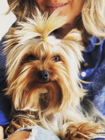 "Cocó y yo nos bañamos. Y ella se cree mucho así peinada. Amor perruno. Cocó, no es como le dicen todos, es Cocó, como Chanel", aclaró la actriz de 48 años de edad.