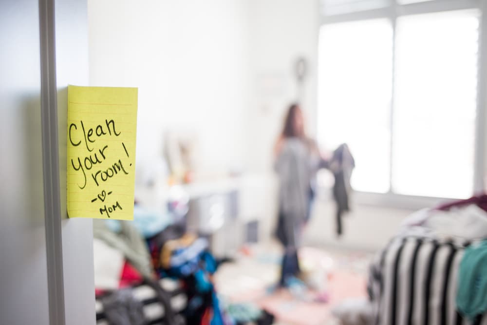 Ventila bien tu hogar. Abre ventanas para que entre el aire y las corrientes se vayan llevando esa acumulación de mala energía. Puedes usar luego inciensos como el de sándalo o quemar un poco de salvia blanca para depurar todos los rinconces de tu casa.
