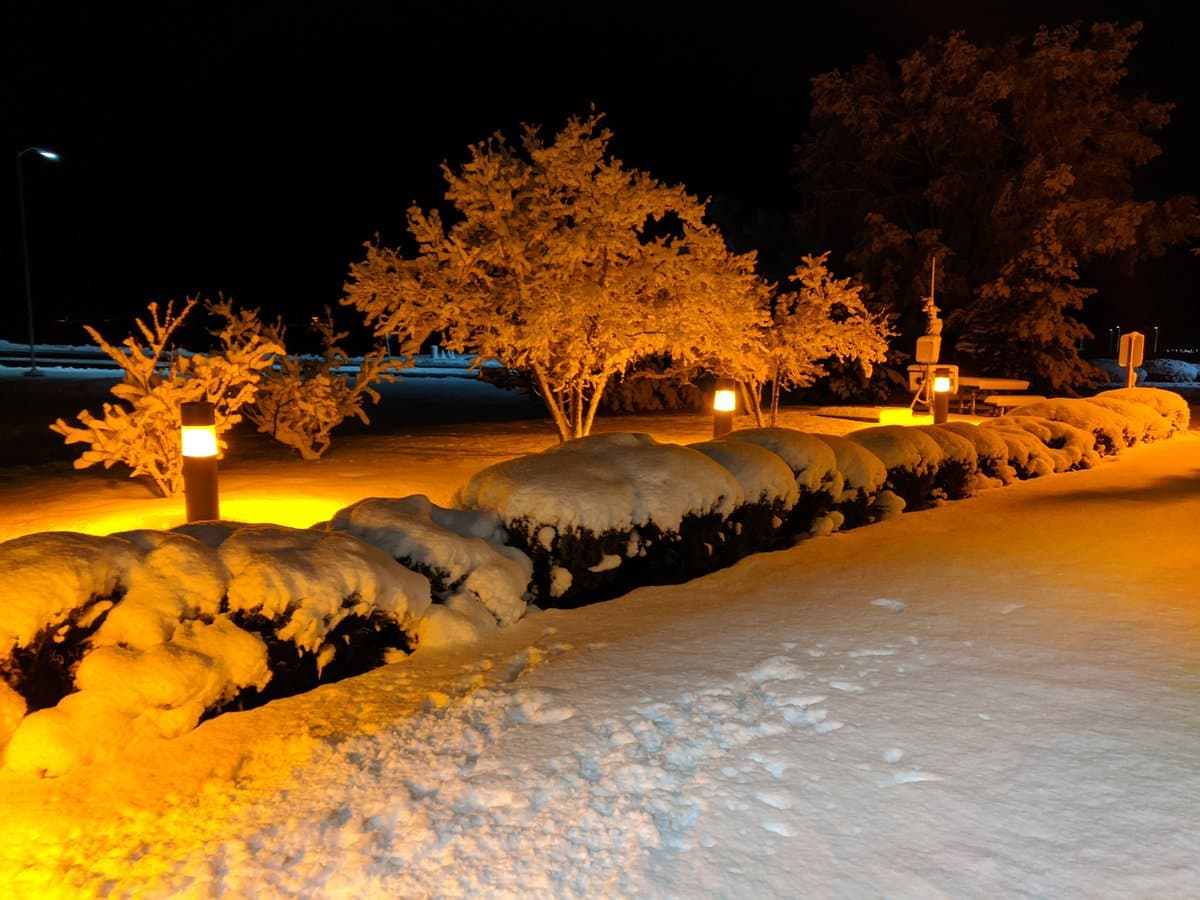 Prepare sus abrigos, el termómetro alcanza temperaturas de 33 grados Fahrenheit.
<br>