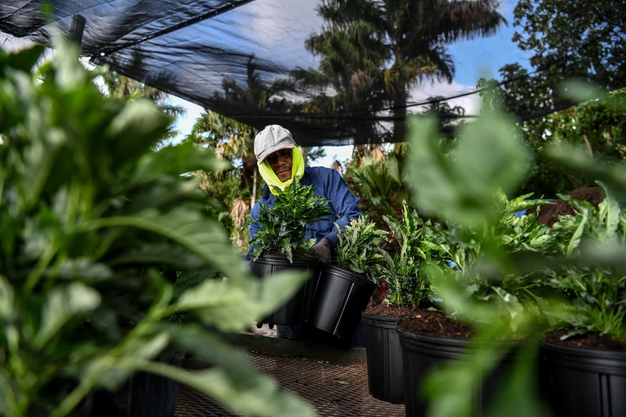El gobernador Ron de Santis, dijo que esto trabajadores viven y viajan “apretados como sardinas”.