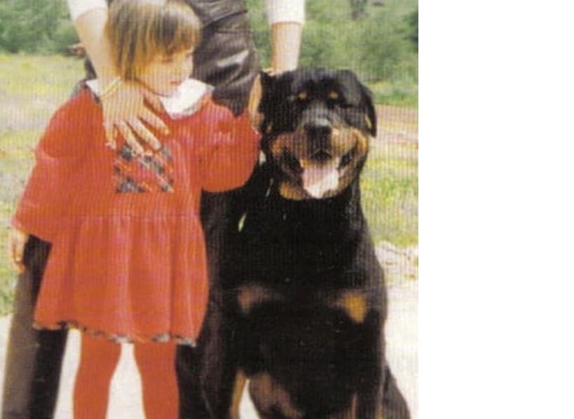 El amor de la cantante de 'Sapito' toda su vida ha amado a los caninos, cuando era niña su mejor amiga era un rotweiller de nombre 'Pongo', al que le dedicó unas bellas palaras en sus redes sociales: “Era una belleza, mi primer amigo, el más leal. Los animales son tan fieles y generosos y lo único que piden a cambio es amor… ¡Que recuerdos!... Gracias 'Pongo' por enseñarme tanto”.
<br>