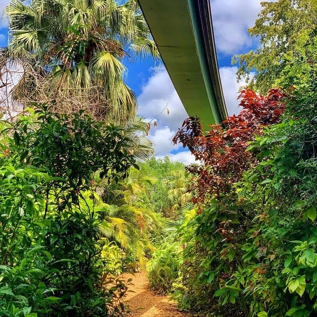 Estas arañas pueden vivir durante décadas en la misma madriguera durante toda su vida