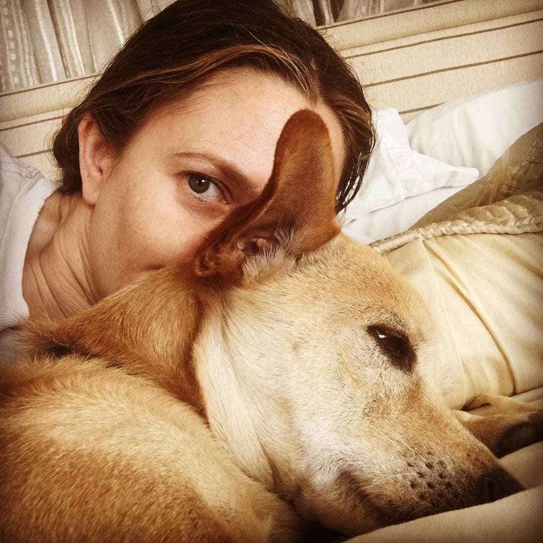 Drew Barrymore es otra celebridad que ama los perros. Este es Douglas.