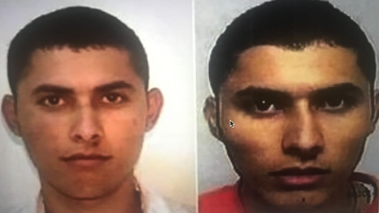Confirman el asesinato de ‘El Chino Ántrax’, uno de los sicarios más temidos del narco en México. ¿Qué se sabe de su muerte?