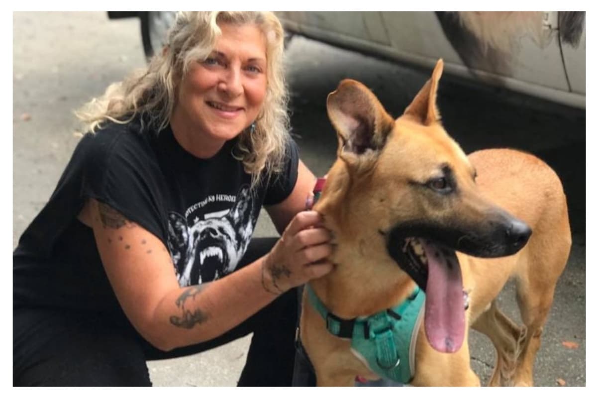 Cuando decidan adoptar deben tomar en cuenta que ese ser vivo depende de ustedes por completo. El promedio de vida de un perro es de 15 a 18 años, y todos ese tiempo se les debe cuidar, alimentar y respetar.