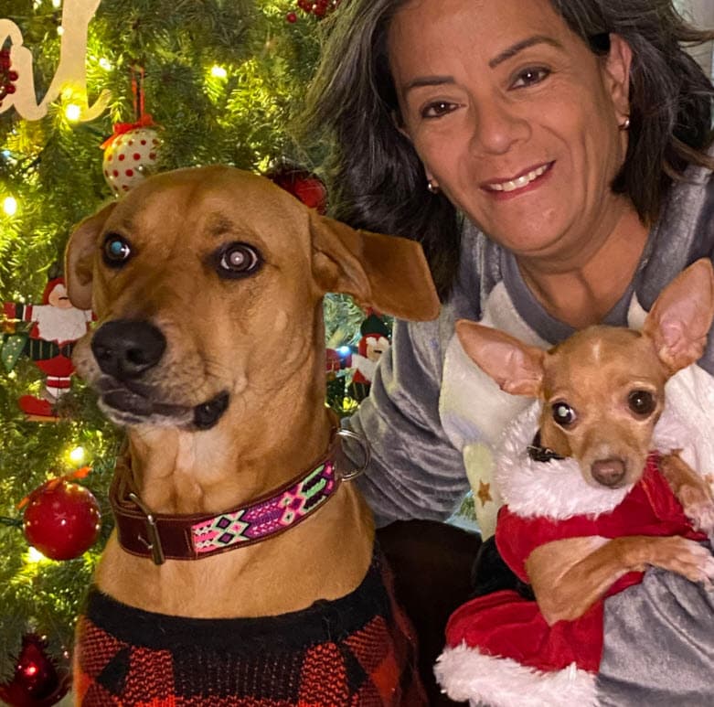 "Al salir positivo, 
<b>estoy encerrada en mi casa</b>. Estoy al teléfono con la esposa de mi papá (Laura Elena Villa), con María Elena mi hermana, que es la que ha estado en el hospital", contó. 
<br>