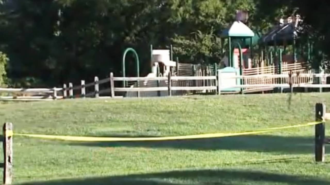 Murió un niño de 3 años tras ser sacado de un estanque: estaba al cuidado de una niñera