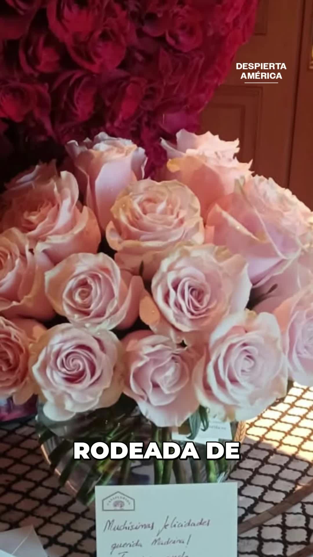 Paloma Cuevas celebra su cumpleaños ¿sin Luis Miguel?