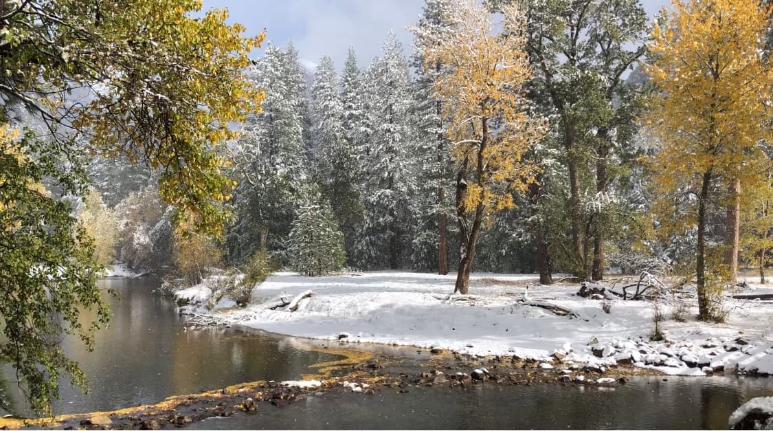Autoridades climatológicas recomiendan mantener en interiores, animales y plantas para protegerlos de las heladas.