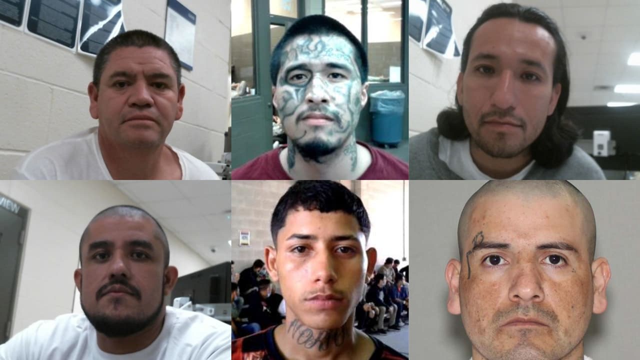 Asegura ICE Houston que en 6 meses arrestó a más de 350 pandilleros ligados a 1,700 delitos