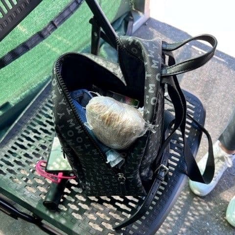 Agentes de la estación Nogales incautaron cerca de 570g de fentanilo. Los estupefacientes fueron entregados al Departamento de Seguridad Pública de Arizona. En el año fiscal 2021 CBP incautó 11,201 libras de fentanilo.