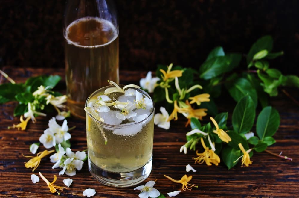 También tiene propiedades diuréticas, para eliminar líquidos y depurar el organismo (retención de líquidos, artritis, piedras en el riñón). Esto se hace preparándola en té o infusión tras ser hervida.