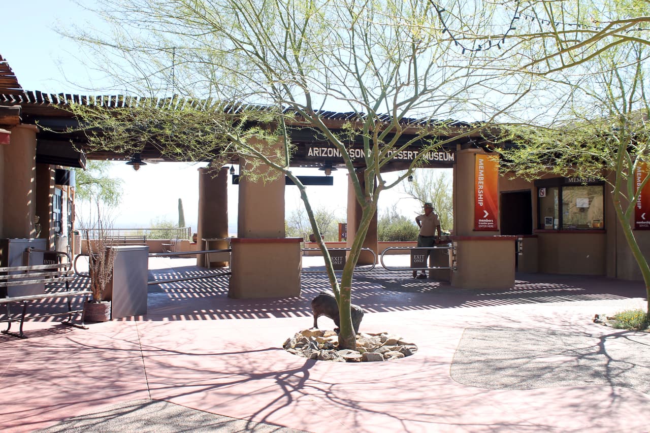 Verano es la época más baja de visitantes en el museo, es por eso que iniciaron las 'Noches de Verano' los sábados de 5:00 a 10:00 pm.