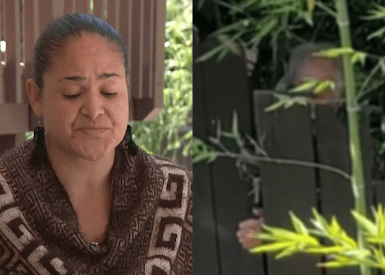 "Nos dijo que tenía una pistola": Familia consigue orden de restricción tras meses de presuntos acosos