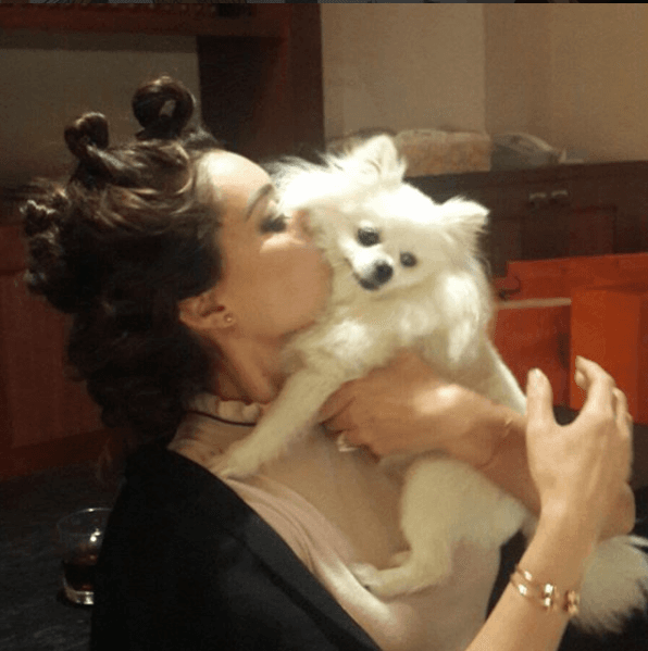 En agosto de 2017 Yadhira volvió a ser criticada por miles de usuarios de redes sociales, luego de que compartiera un video llorando por la trágica muerte de Bo, el perrito al que consideraba su bebé. "Le acaban de quitar la vida a mi bebé, estaba perfecto”, sollozó mientras contaba que lo habían atropellado.