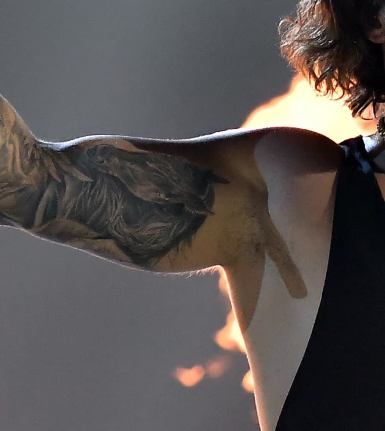 Otro animal importante en la vida de Maluma es Hércules, su primer caballo, inmortalizado en la cara interna de su bíceps derecho.