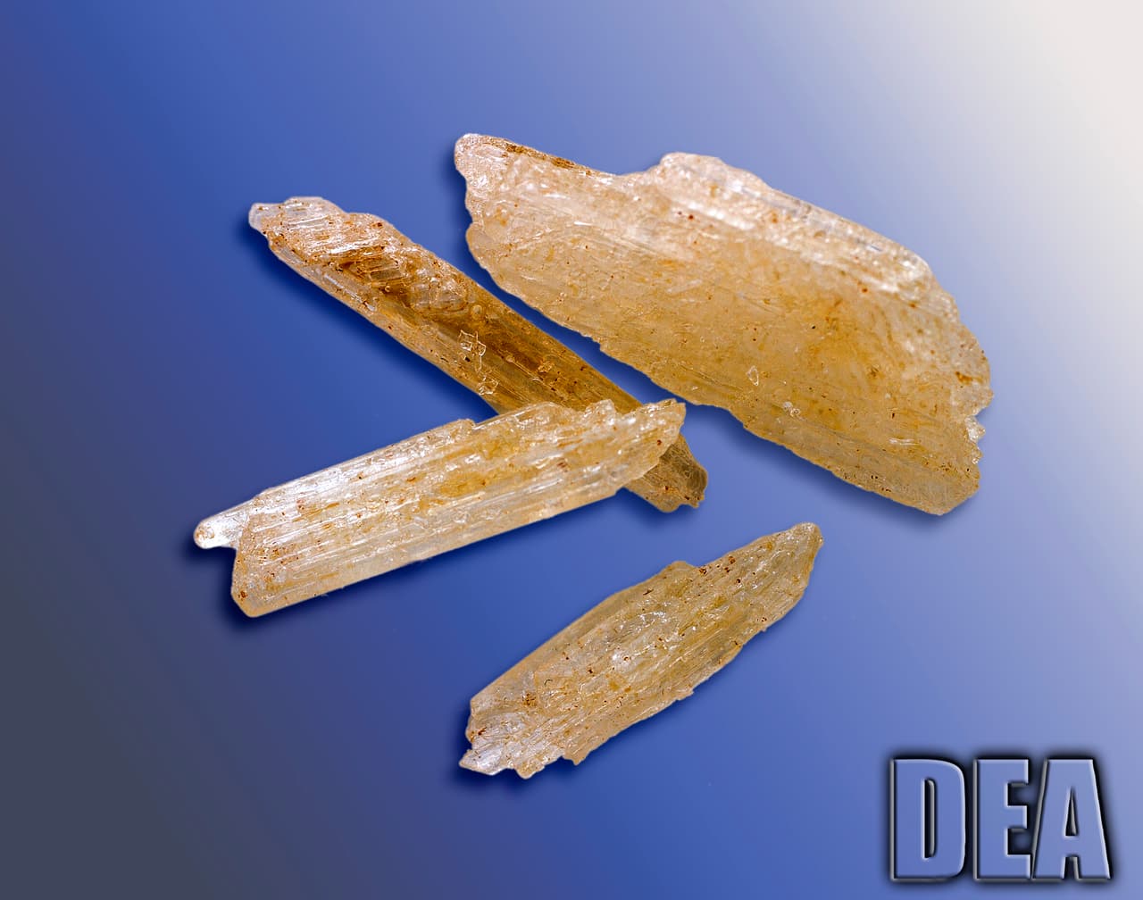 La idea es detener los narcóticos antes de que ingresen a los vecindarios.