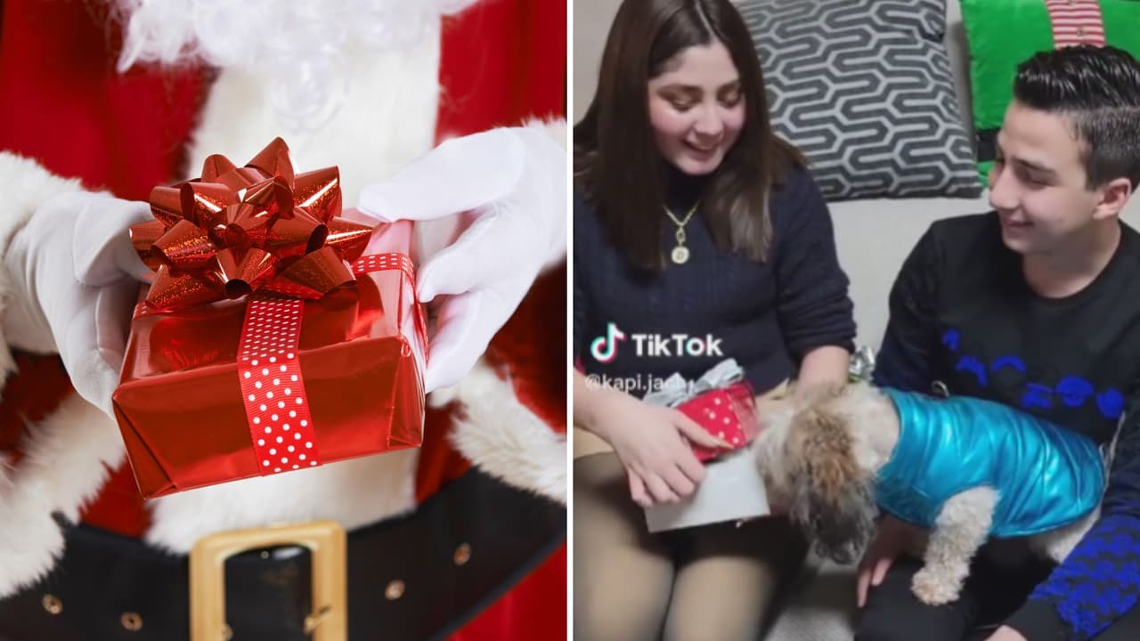 Perrita recibe regalo y su inesperada reacción conquista a Internet: “Ya ni los niños”