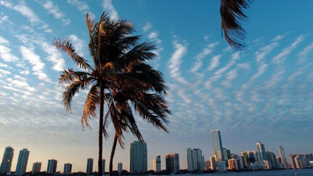 Noche fresca de Thanksgiving en el sur de Florida
